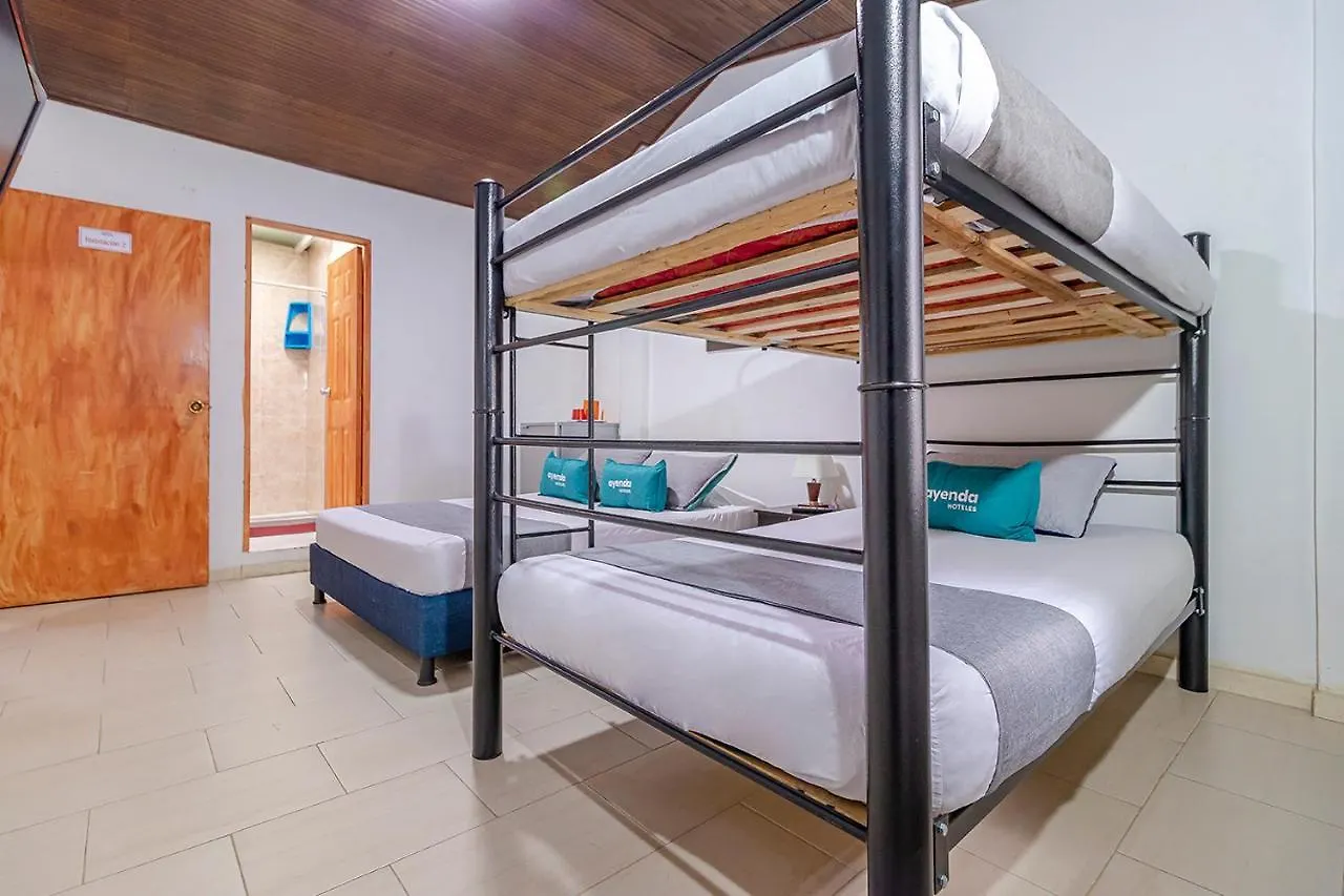 招待所 Ayenda Hostal El Tocororo 波哥大 哥伦比亚